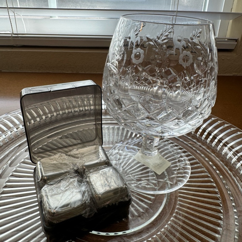 Stainless Steel Ice Cube Set with Case